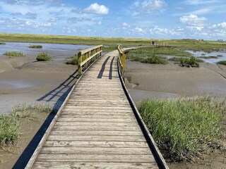 Apartamento de vacaciones Süllwarden Entorno 40