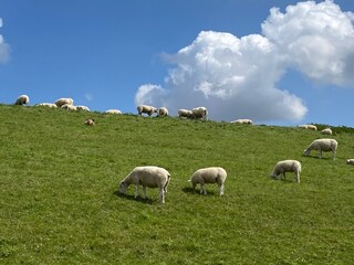 Appartamento per vacanze Süllwarden Ambiente 38