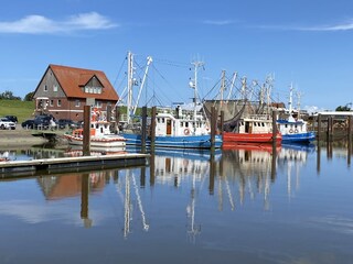Vakantieappartement Süllwarden Omgeving 41