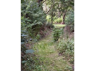 Kleiner Waldweg durch das Grundstück