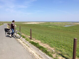 Schöne Fahrradtouren entlang der Deiche und Salzwiesen