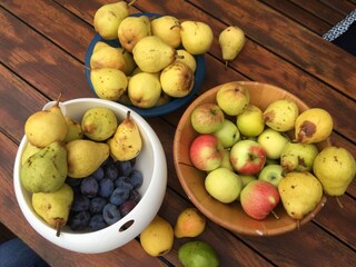 Appartement de vacances Süllwarden Enregistrement extérieur 19