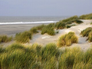 Vakantiehuis Ouddorp Omgeving 25