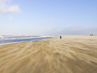 Casa per le vacanze Ouddorp Ambiente 19