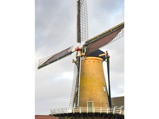 Vakantiehuis Ouddorp Omgeving 26