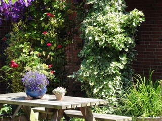 Holiday apartment Gelting Environment 9