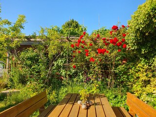Holiday apartment Gelting Environment 11