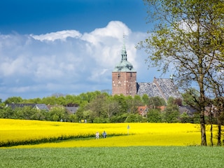 Blick auf Burg  Foto: www.werbephoto.de