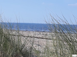 Ein schöner Platz am Strand