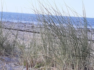 Eindrücke vom schönen Strand