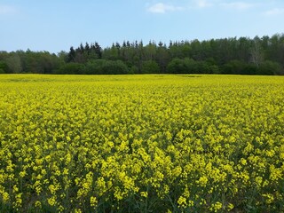 Casa per le vacanze Maasholm Ambiente 33
