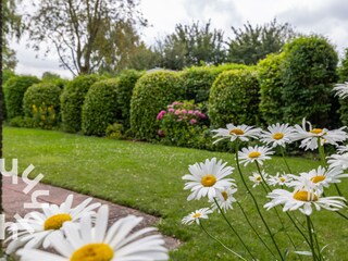 Bungalow Kamperland Ambiente 22