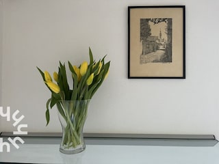 Bungalow Kamperland Ausstattung 14