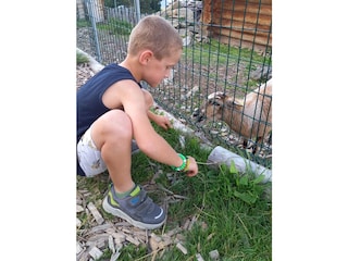 Holiday apartment Hippach Outdoor Recording 19