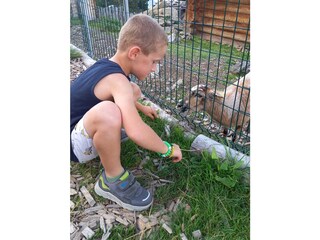 Streichelzoo beim Murmelland