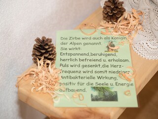 Vakantieappartement Hippach Kenmerken 21