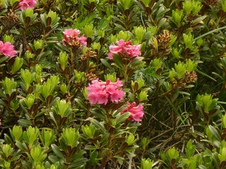 Vakantieappartement Hippach Omgeving 36