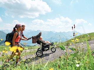 Ferienwohnung Au in Vorarlberg Umgebung 31