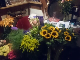 Fattoria Sarstedt Caratteristiche 36