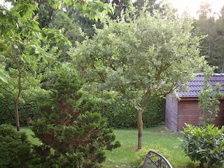 Der Blick in den Garten