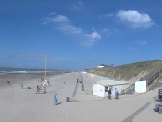 Holiday apartment Domburg Environment 16