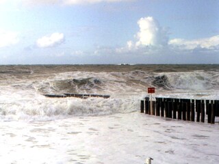 Appartamento per vacanze Domburg Ambiente 11