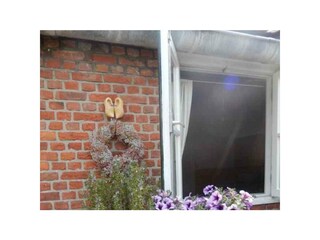 Ferienhaus Domburg Umgebung 25