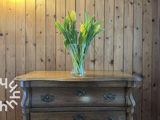 Bungalow Oostkapelle Caratteristiche 21