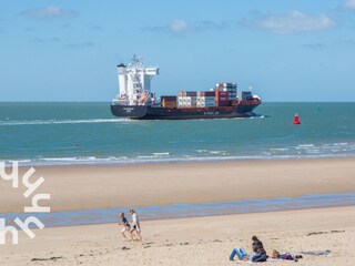 Holiday house Vlissingen Environment 27