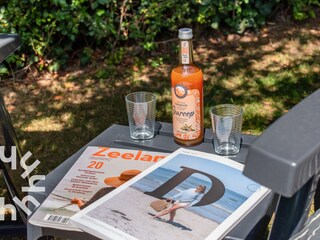 Bungalow Zoutelande Ambiente 27