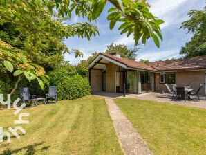 Bungalow Zoutelande - ZE281