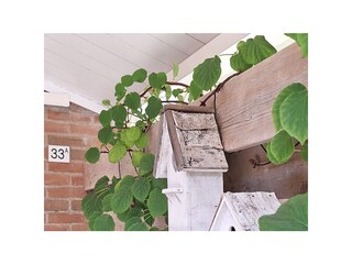 Casa per le vacanze Zoutelande Ambiente 24
