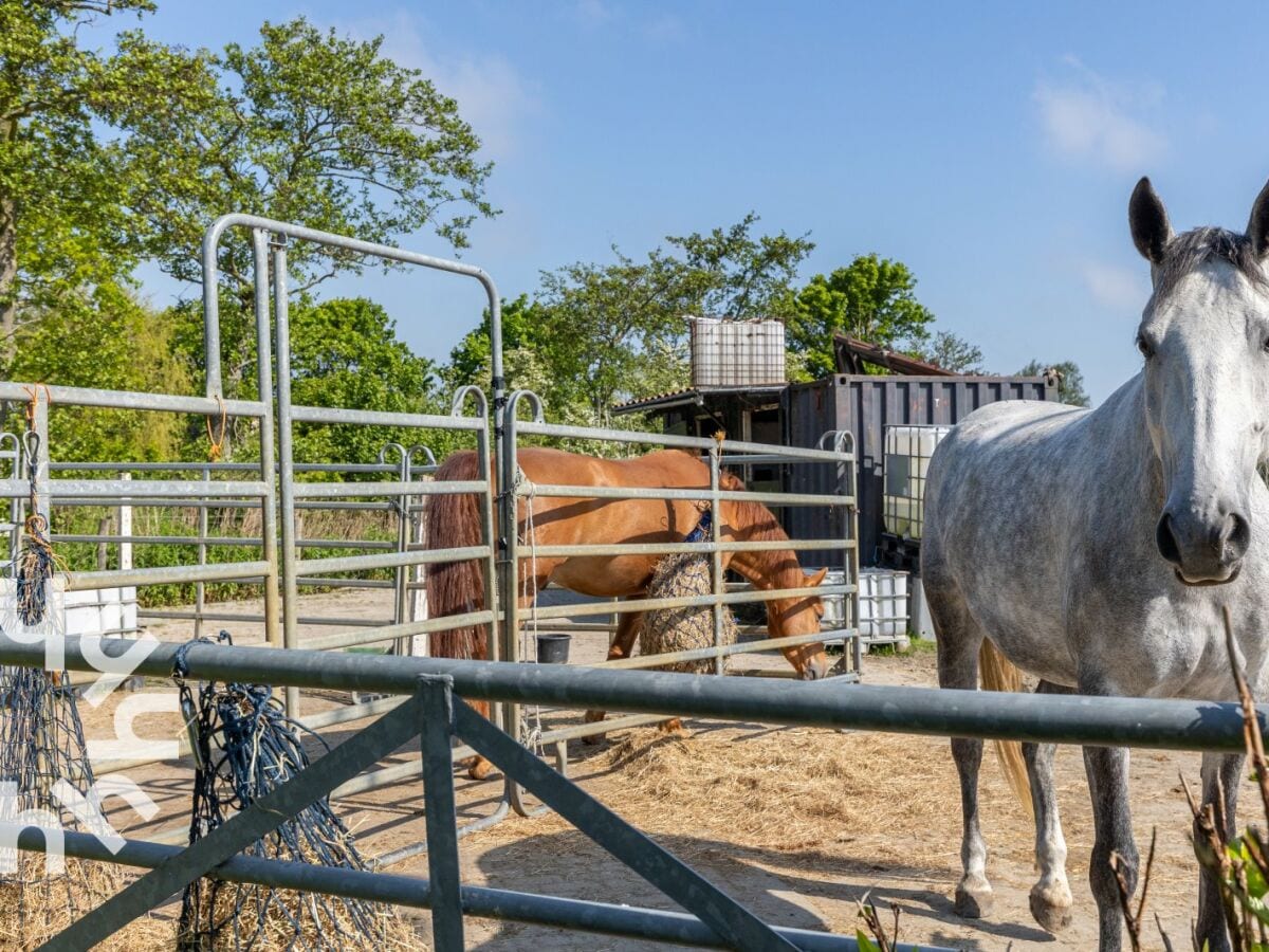 Ferienwohnung Grijpskerke Umgebung 20