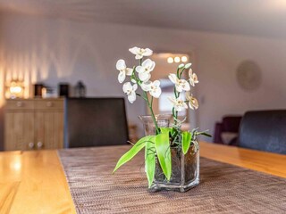 Apartamento de vacaciones Borkum Características 25