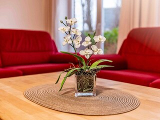 Appartamento per vacanze Borkum Registrazione all'aperto 8