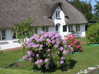 Friesenhaus Bechler
