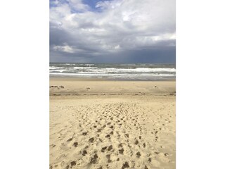 Apartamento de vacaciones De Koog Entorno 16