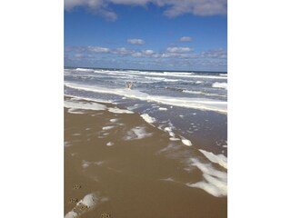 Holiday apartment De Koog Environment 17