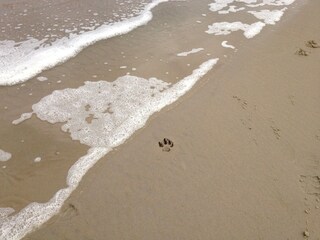 Apartamento de vacaciones De Koog Entorno 18