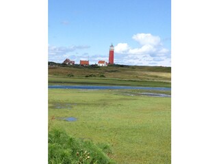 Holiday apartment De Koog Environment 20