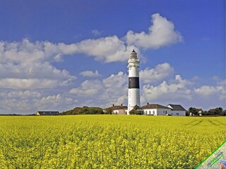 Appartamento per vacanze Keitum Ambiente 17