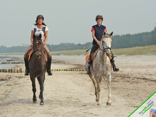 Appartamento per vacanze Keitum Ambiente 15