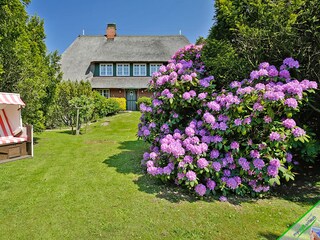 Appartamento per vacanze Keitum Registrazione all'aperto 3