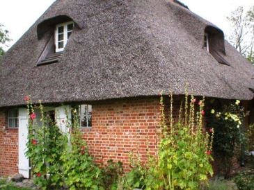 Ferienhaus Romantische Reetdachkate