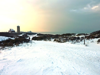 Dünen im Winter