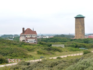 Dünen im Sommer