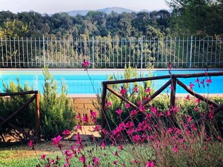 Apartamento de vacaciones Ravi Grabación al aire libre 8