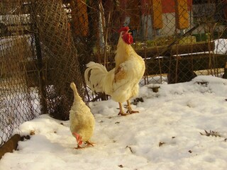 Vakantiehuis Hohnstein Omgeving 26