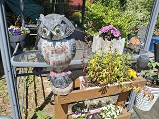 Casa de vacaciones Hohnstein Grabación al aire libre 14