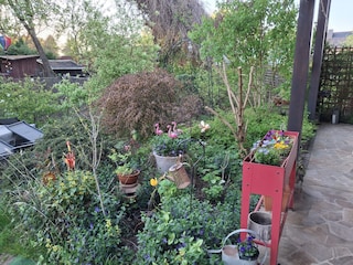 Vakantiehuis Hohnstein Buitenaudio-opname 14